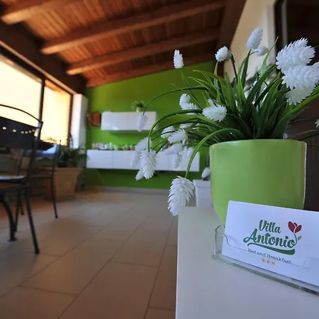 Antonio Bed and breakfast 3*