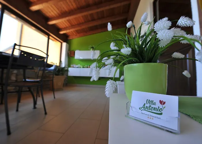 Antonio Nocleg ze śniadaniem 3*